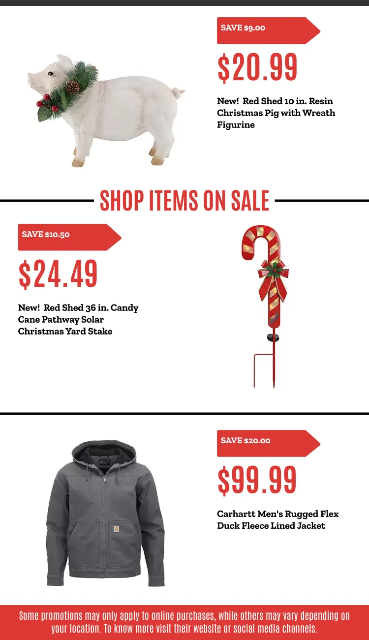 Weekly ad Weekly ads from December 2 to December 10 2025 - Page 13