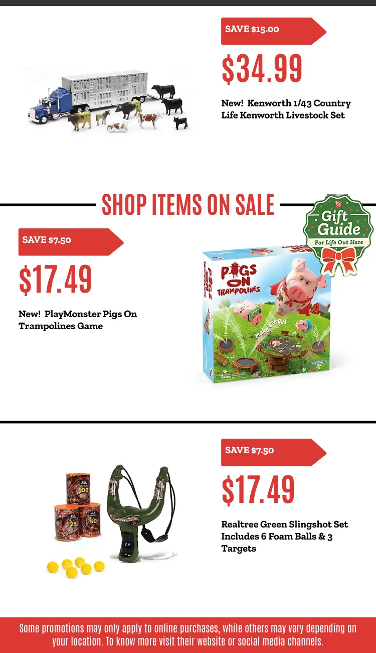 Weekly ad Weekly ads from December 15 to December 31 2025 - Page 13