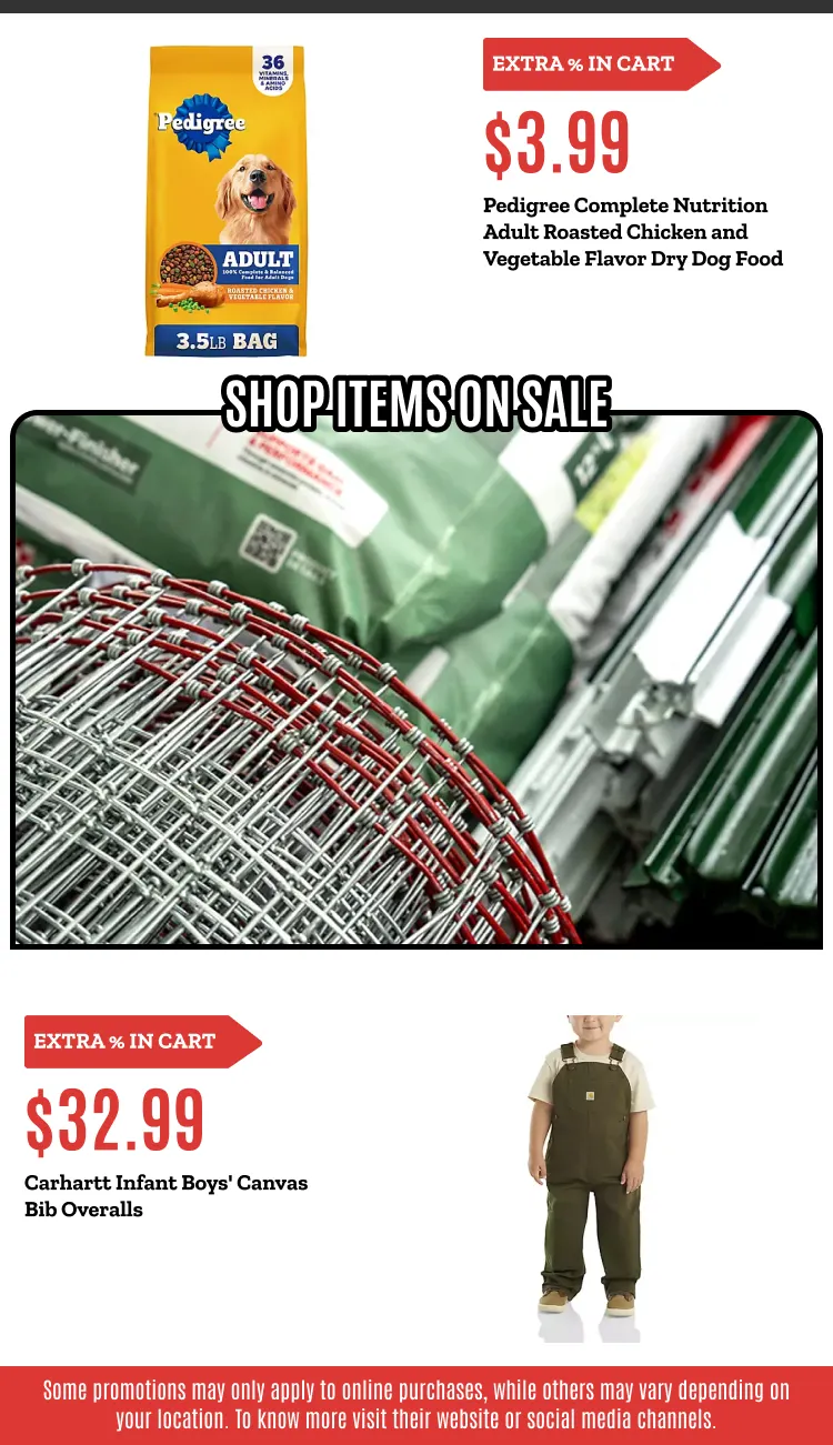 Weekly ad Weekly ads from February 2 to February 18 2026 - Page 14