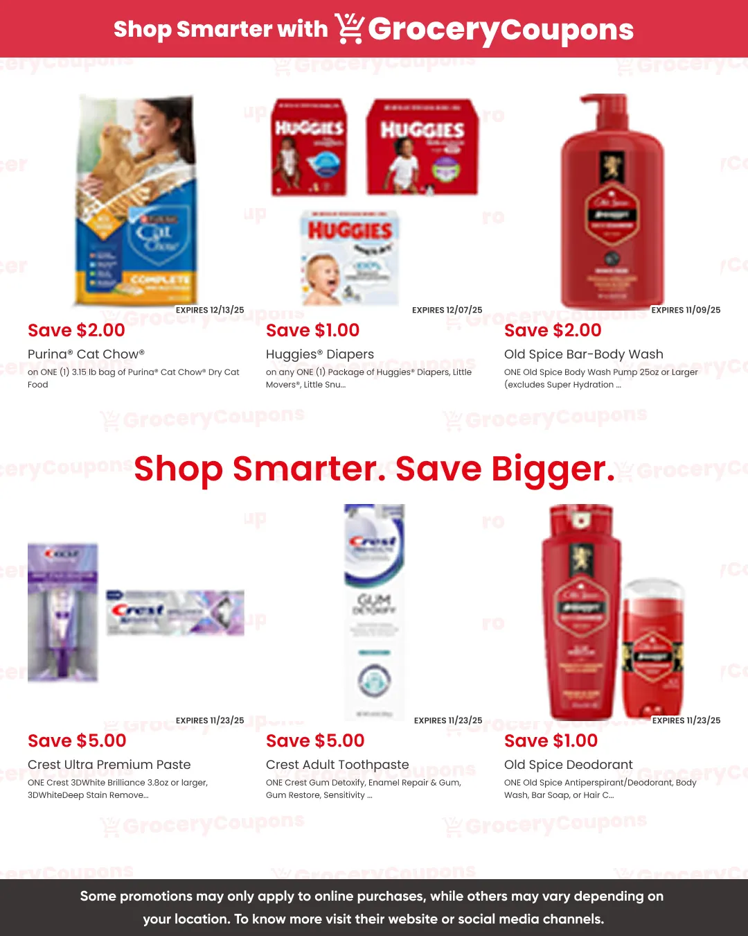 Weekly ad Piggly Wiggly COUPONS from November 6 to November 30 2025 - Page 3