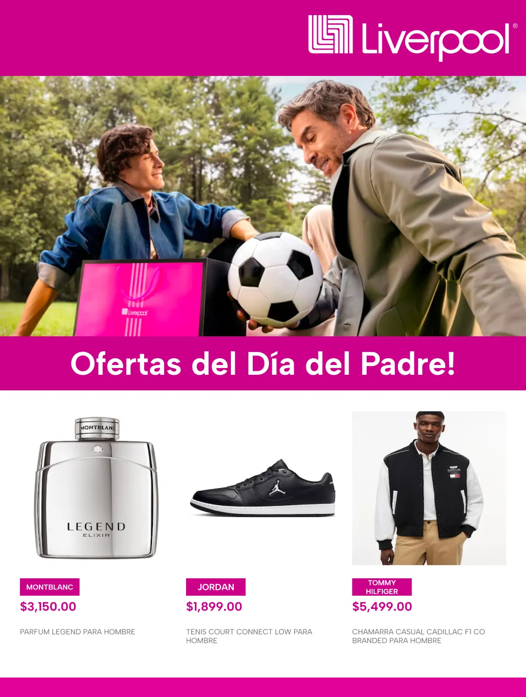 Catálogo de Ofertas del Día del Padre! 8 de junio al 22 de junio 2026 - Pagina 