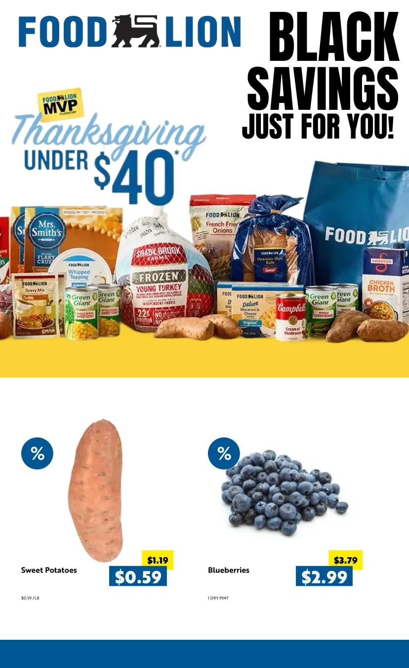 Weekly ad Black friday deals from November 27 to December 5 2025 - Page 