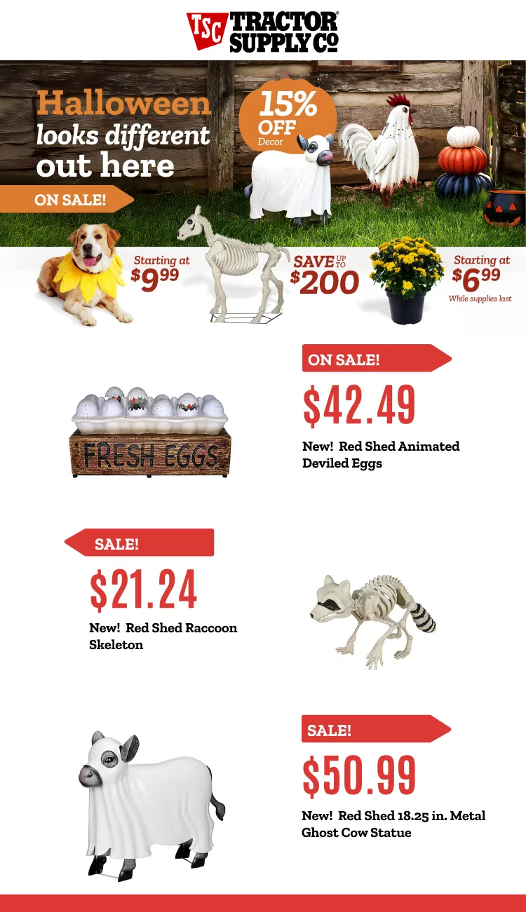 Halloween Weekly Ad! - September 17 October 6 2025