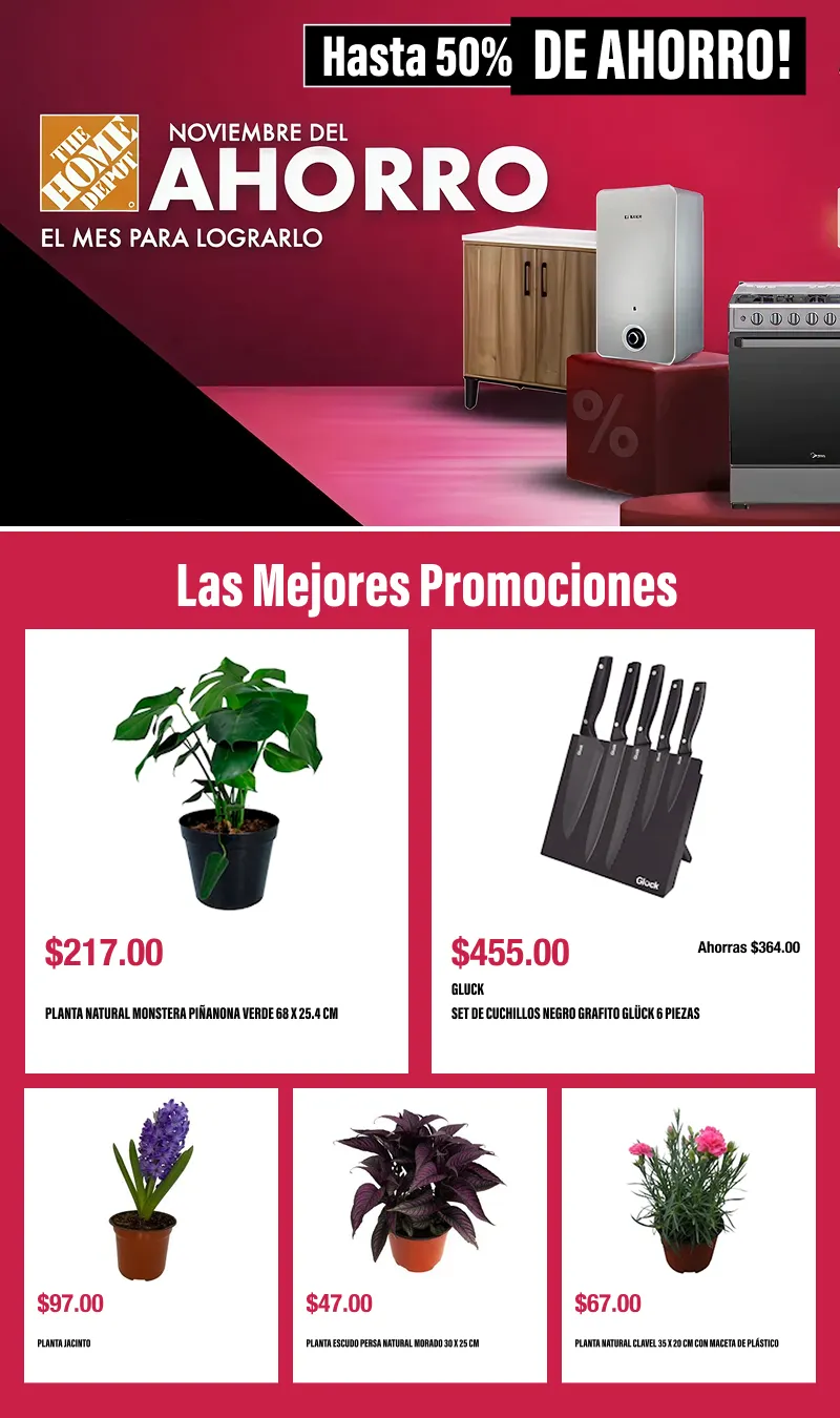 Buen fin - 6 de noviembre 13 de noviembre 2025