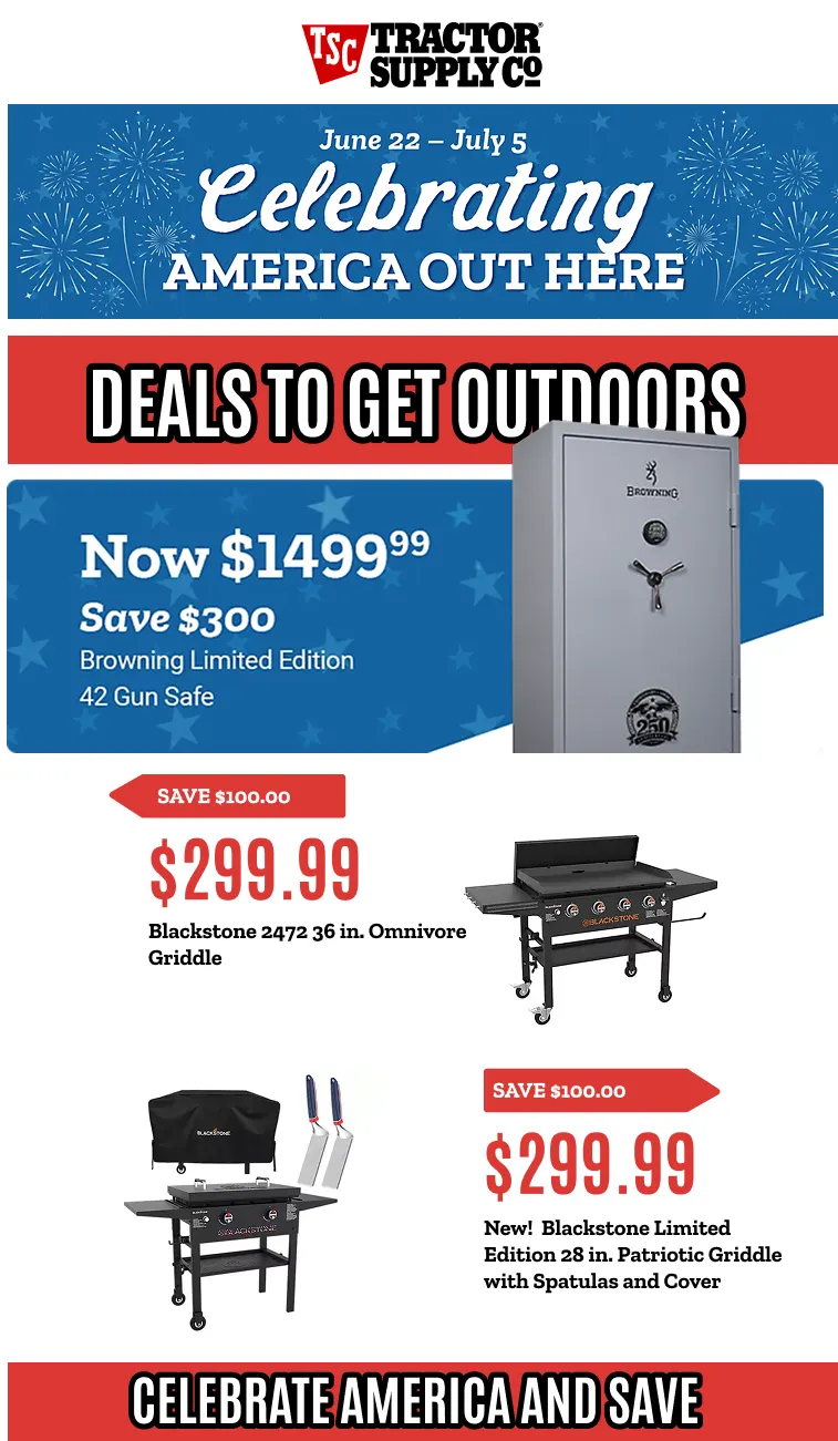 Weekly ad Celebrate America and Save from June 24 to July 5 2026 - Page