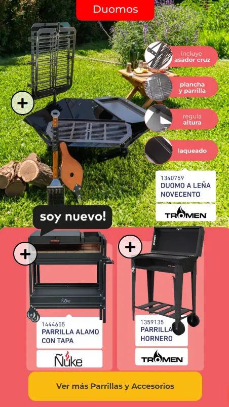 Ofertas de Especial Temporada Verano 28 de noviembre al 13 de diciembre 2024 - Página 13 del catálogo