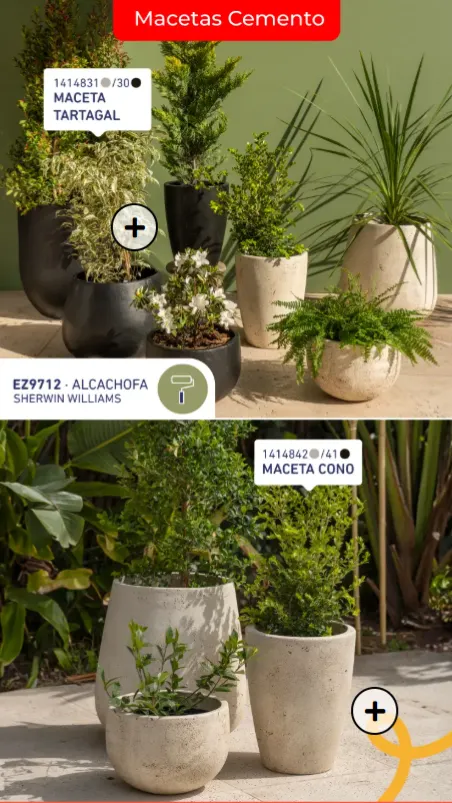 Ofertas de Especial Temporada Verano 28 de noviembre al 13 de diciembre 2024 - Página 15 del catálogo