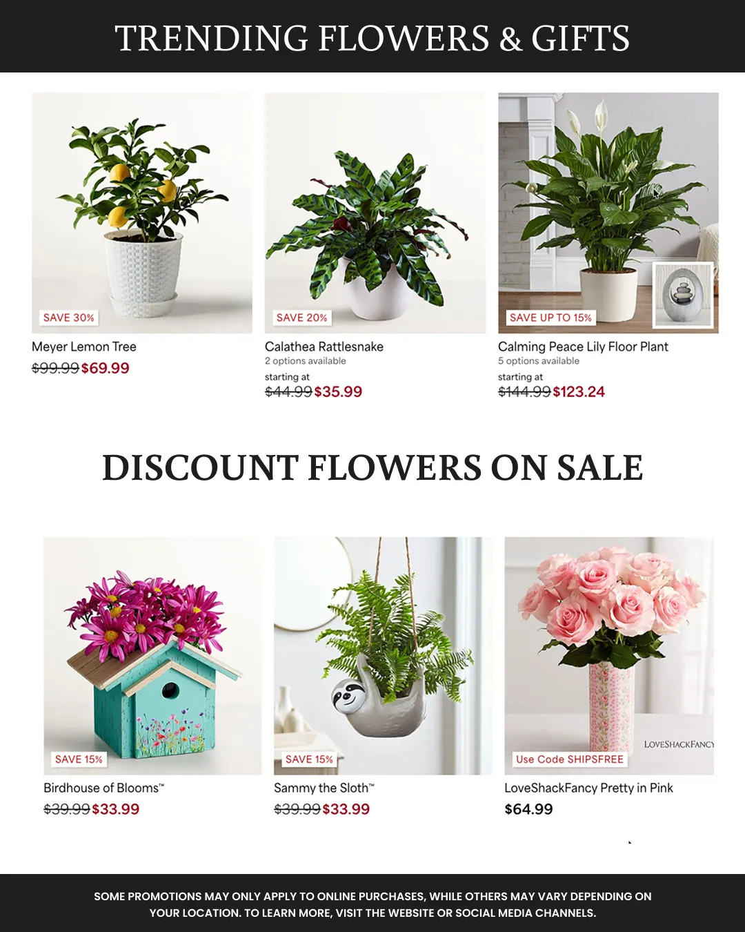 Weekly ad Discount Flowers on Sale from March 4 to March 18 2026 - Page 7