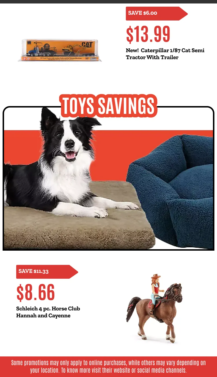 Weekly ad Weekly ads from December 15 to December 31 2025 - Page 2