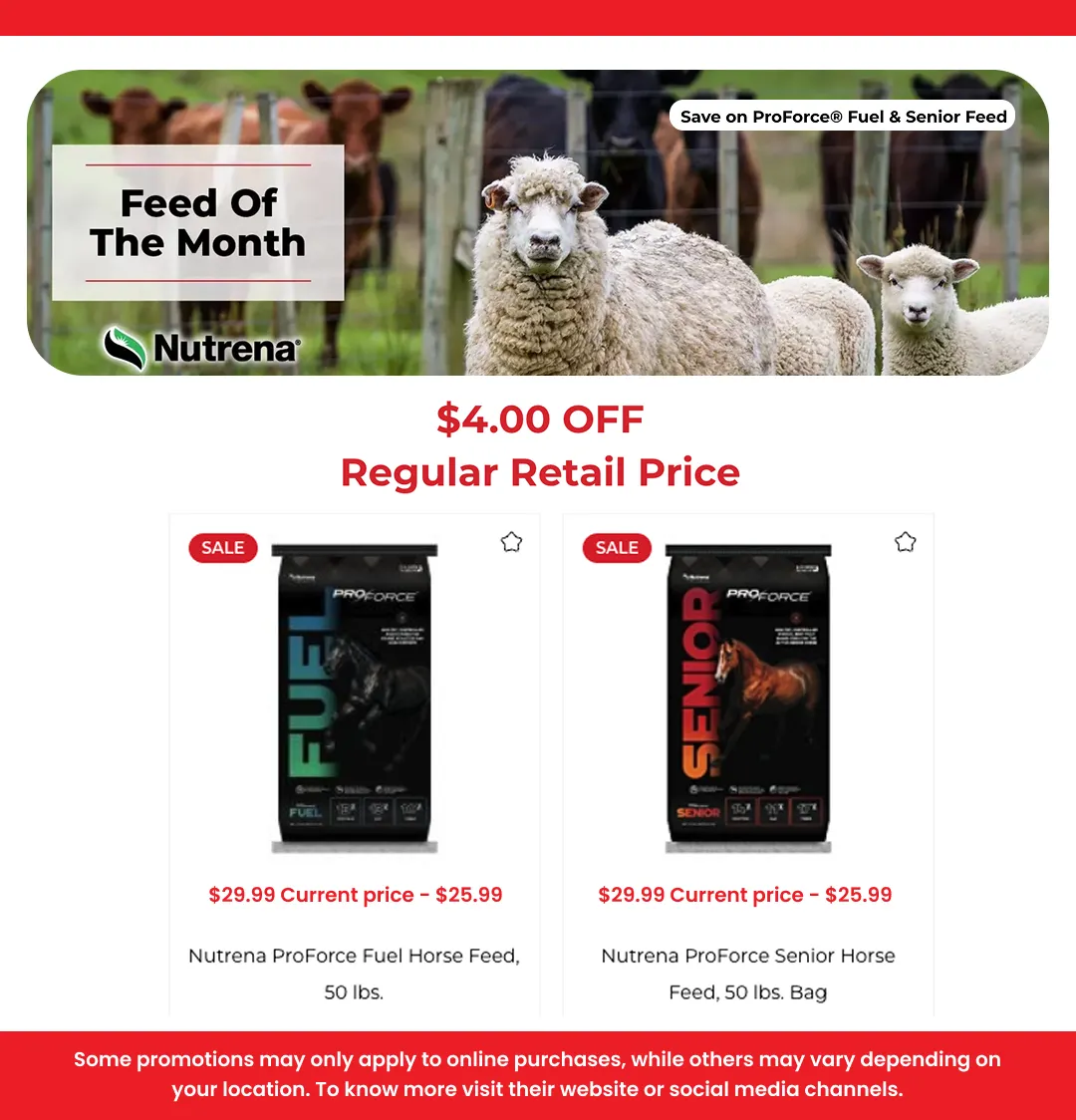 Weekly ad Deals & discounts from February 10 to February 24 2026 - Page 2