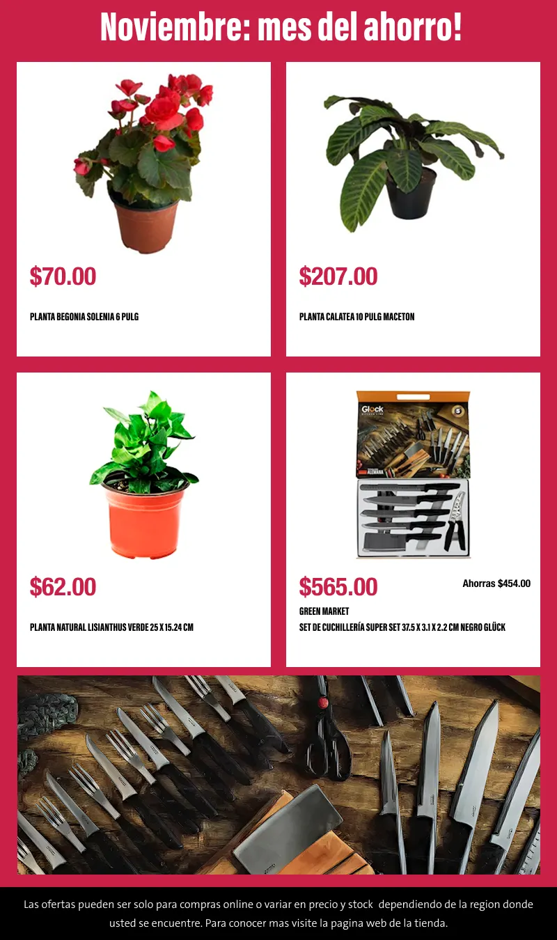 Catálogo de Buen fin 6 de noviembre al 13 de noviembre 2025 - Pagina 2