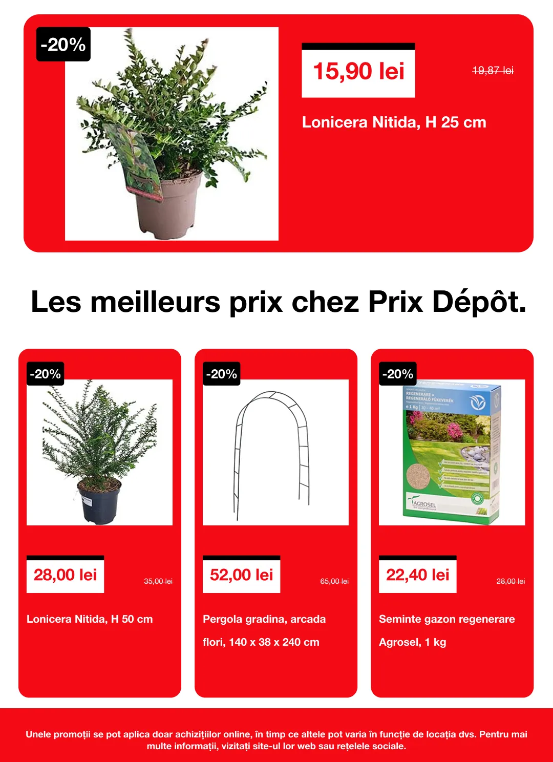 Catalog Catalogue de la 20 martie până la 7 aprilie 2026 - Revista Pagina 3