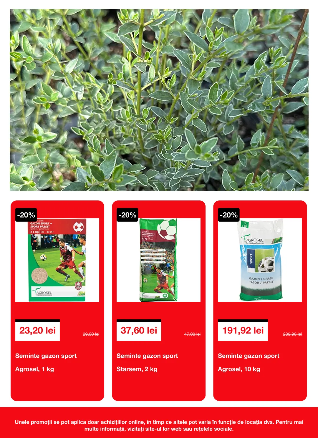 Catalog Catalogue de la 20 martie până la 7 aprilie 2026 - Revista Pagina 4