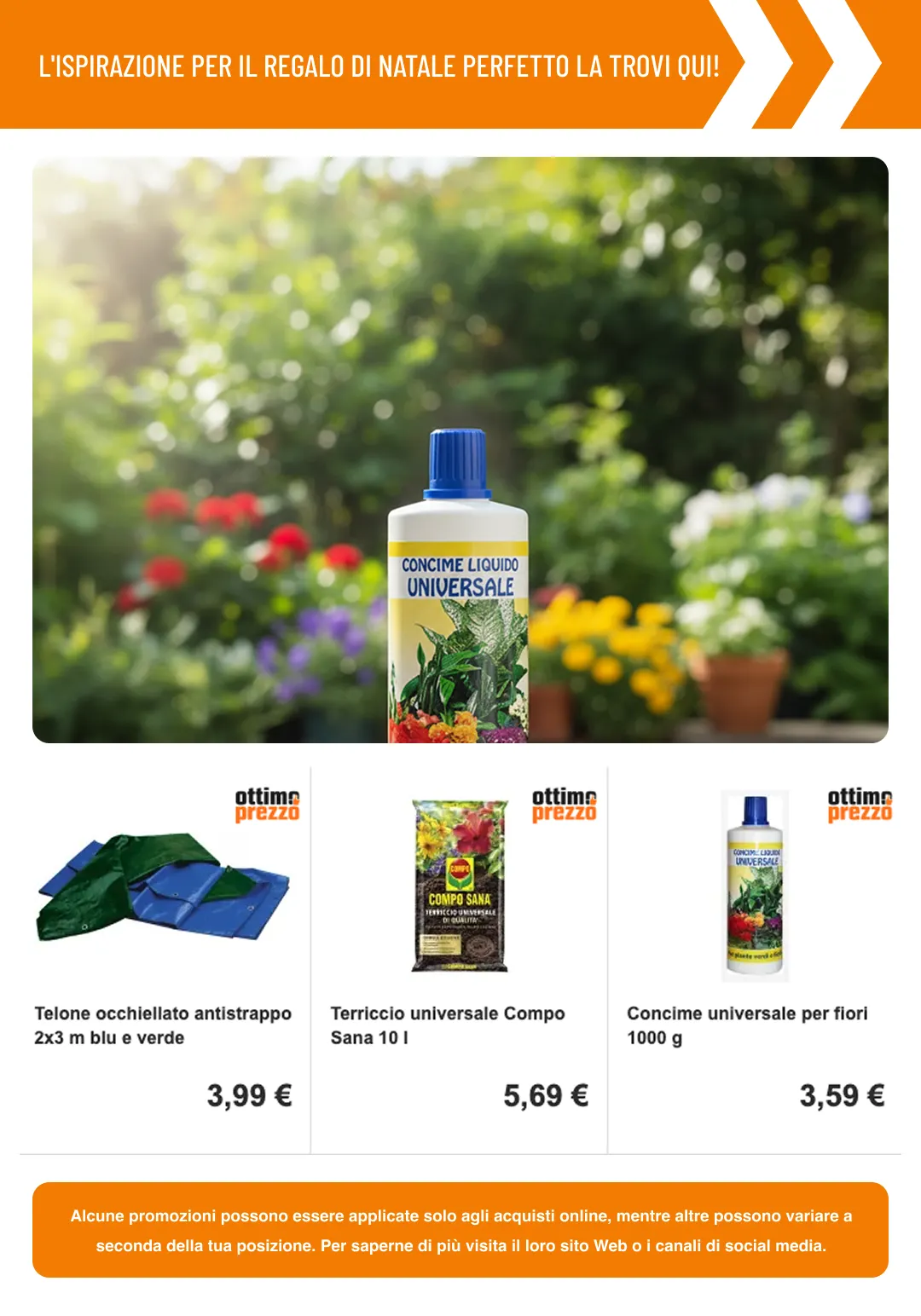 Volantino da 23 dicembre a 9 gennaio di 2026 - Pagina del volantino 4