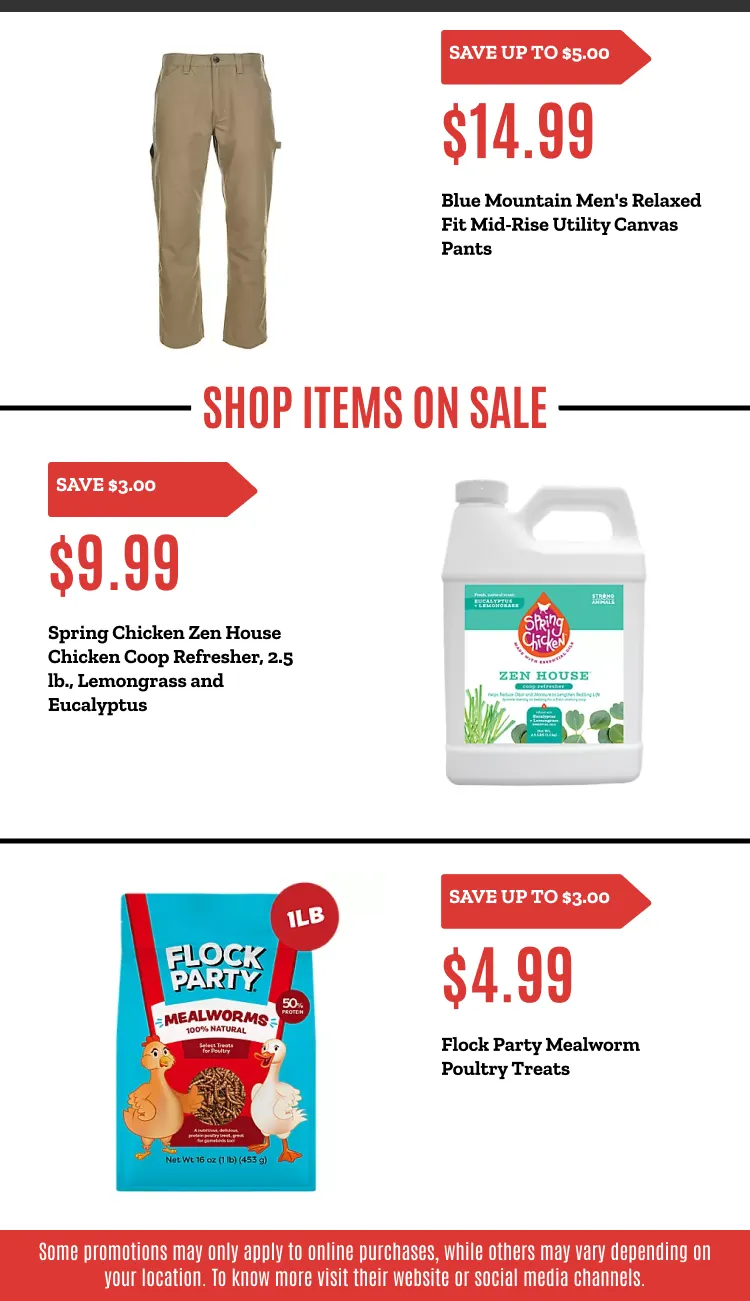 Weekly ad Weekly ads from October 21 to November 7 2025 - Page 4