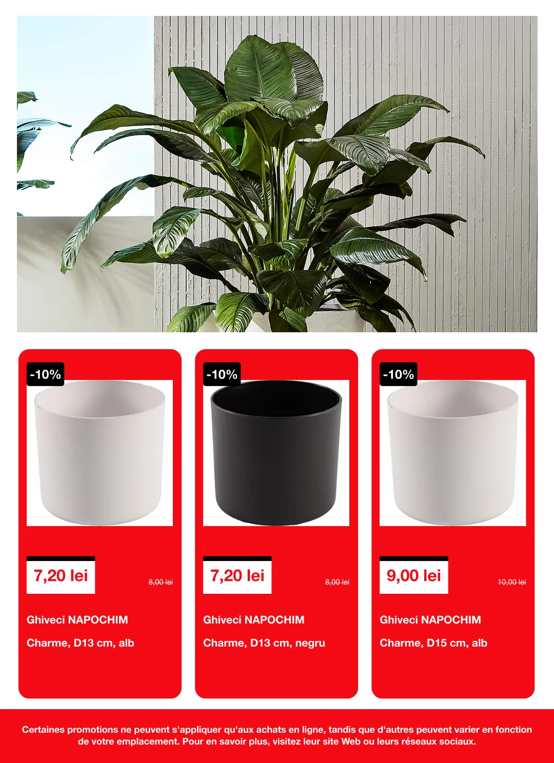 Catalog Catalogue de la 20 martie până la 7 aprilie 2026 - Revista Pagina 7