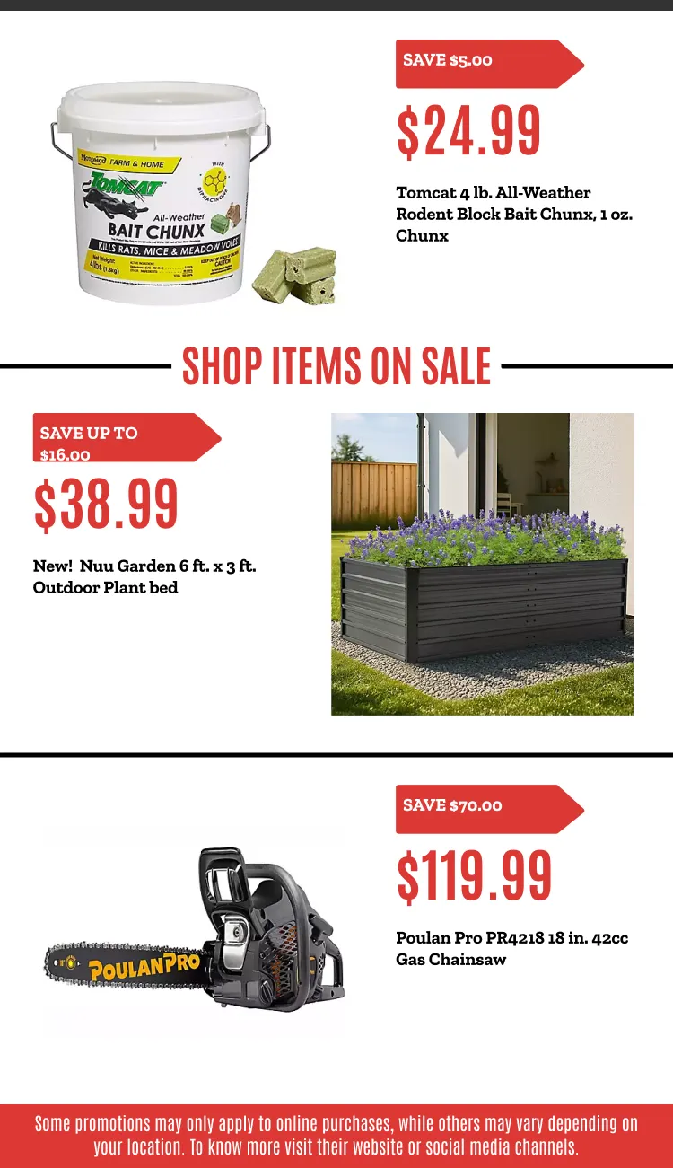 Weekly ad Weekly ads from October 21 to November 7 2025 - Page 7