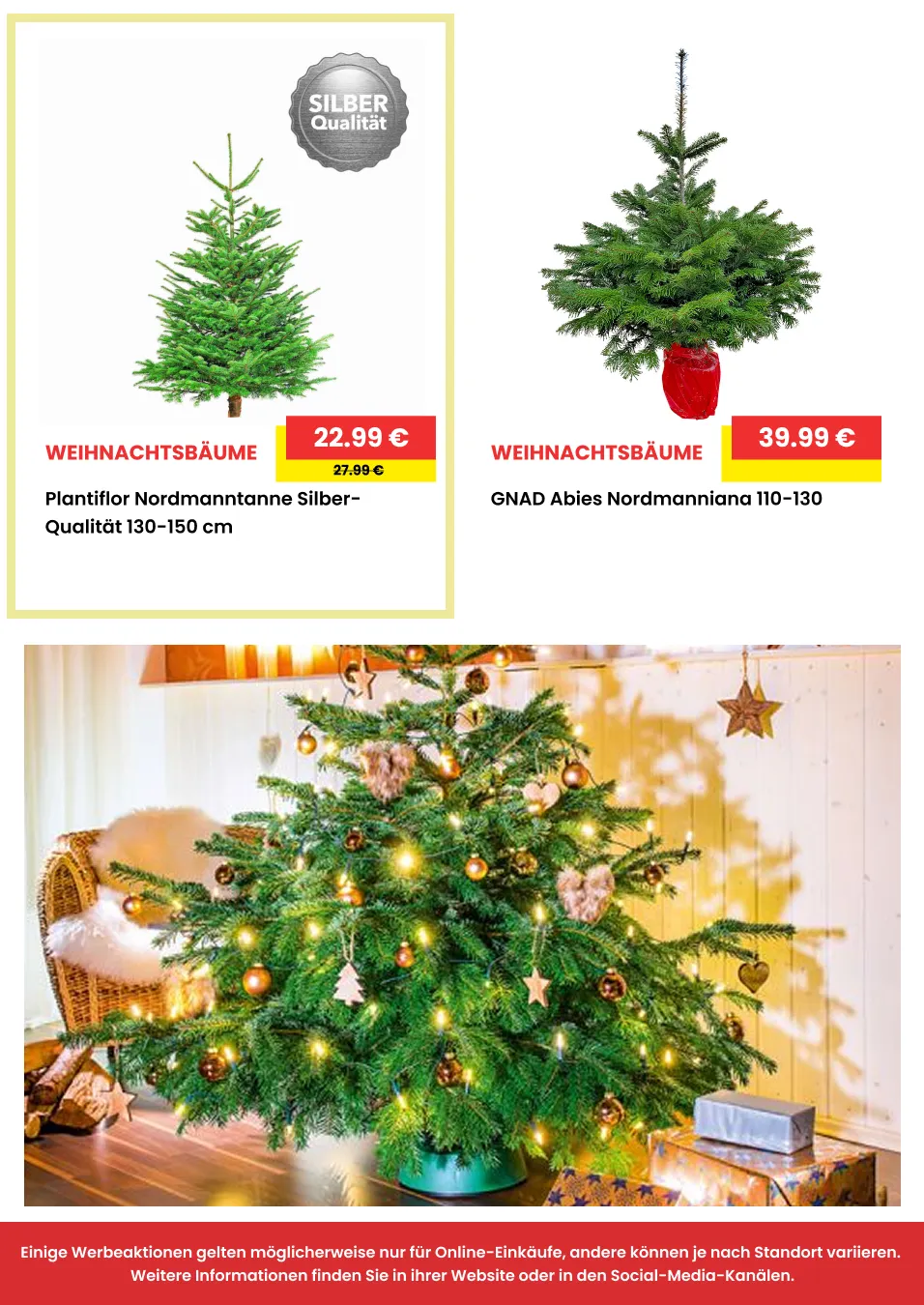 Rabatte von 12. Dezember bis 31. Dezember 2025 - Prospekt seite 8
