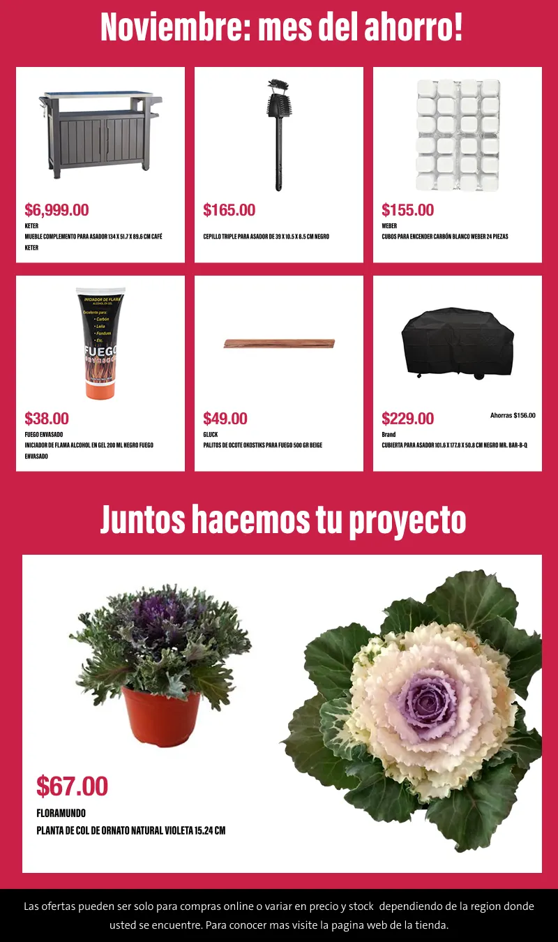 Catálogo de Buen fin 6 de noviembre al 13 de noviembre 2025 - Pagina 9