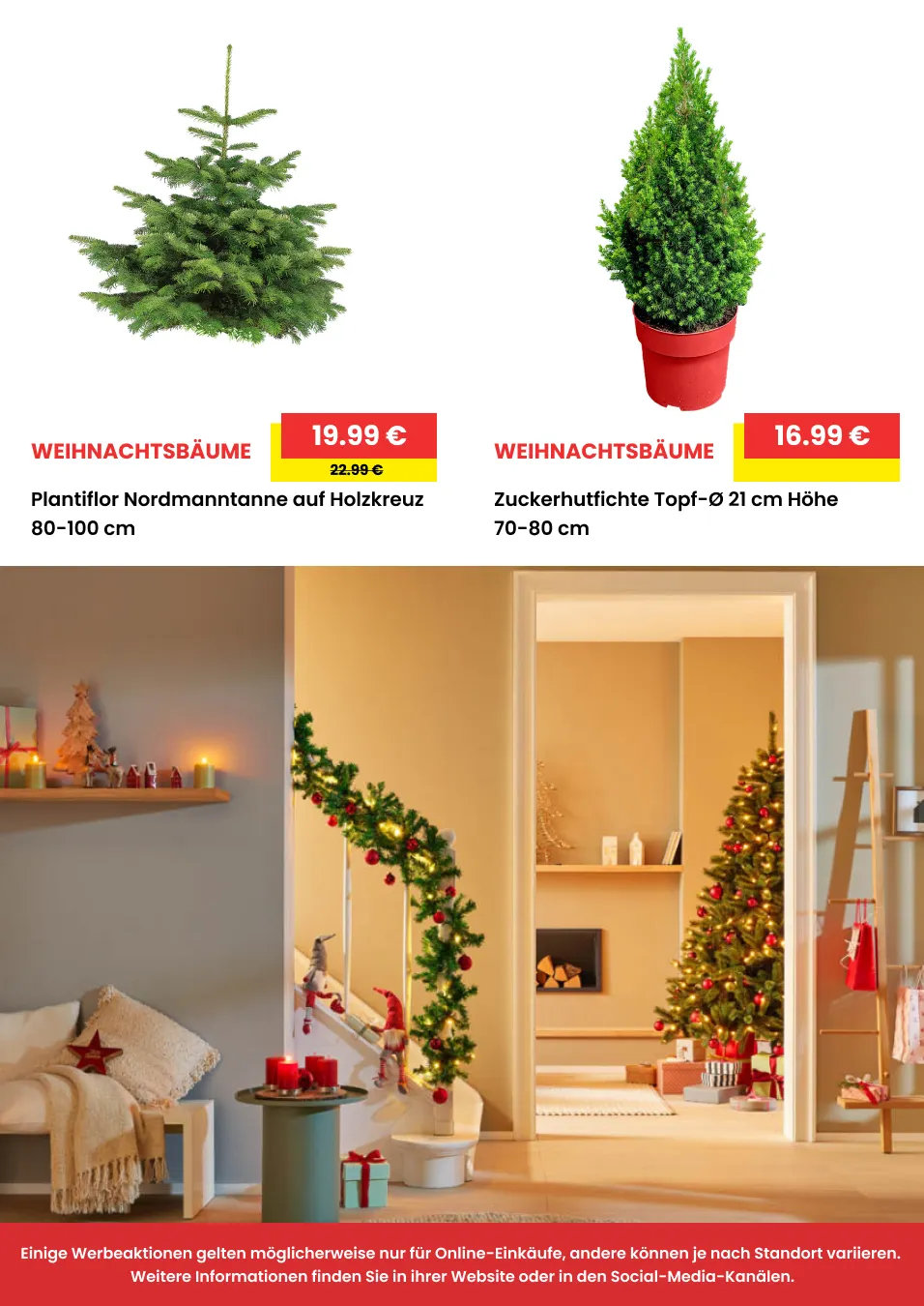 Rabatte von 12. Dezember bis 31. Dezember 2025 - Prospekt seite 9