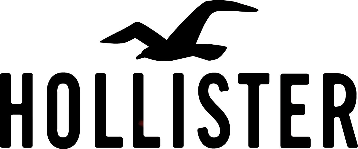 Hollister logo du catalogue