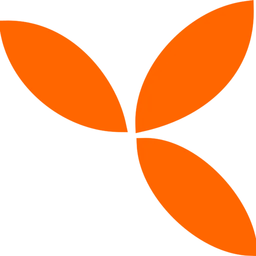 Tocal logo del volantino attuale