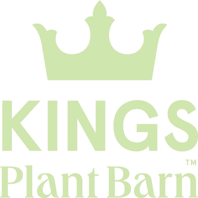 Kings Plant Barn logo. Current weekly ad