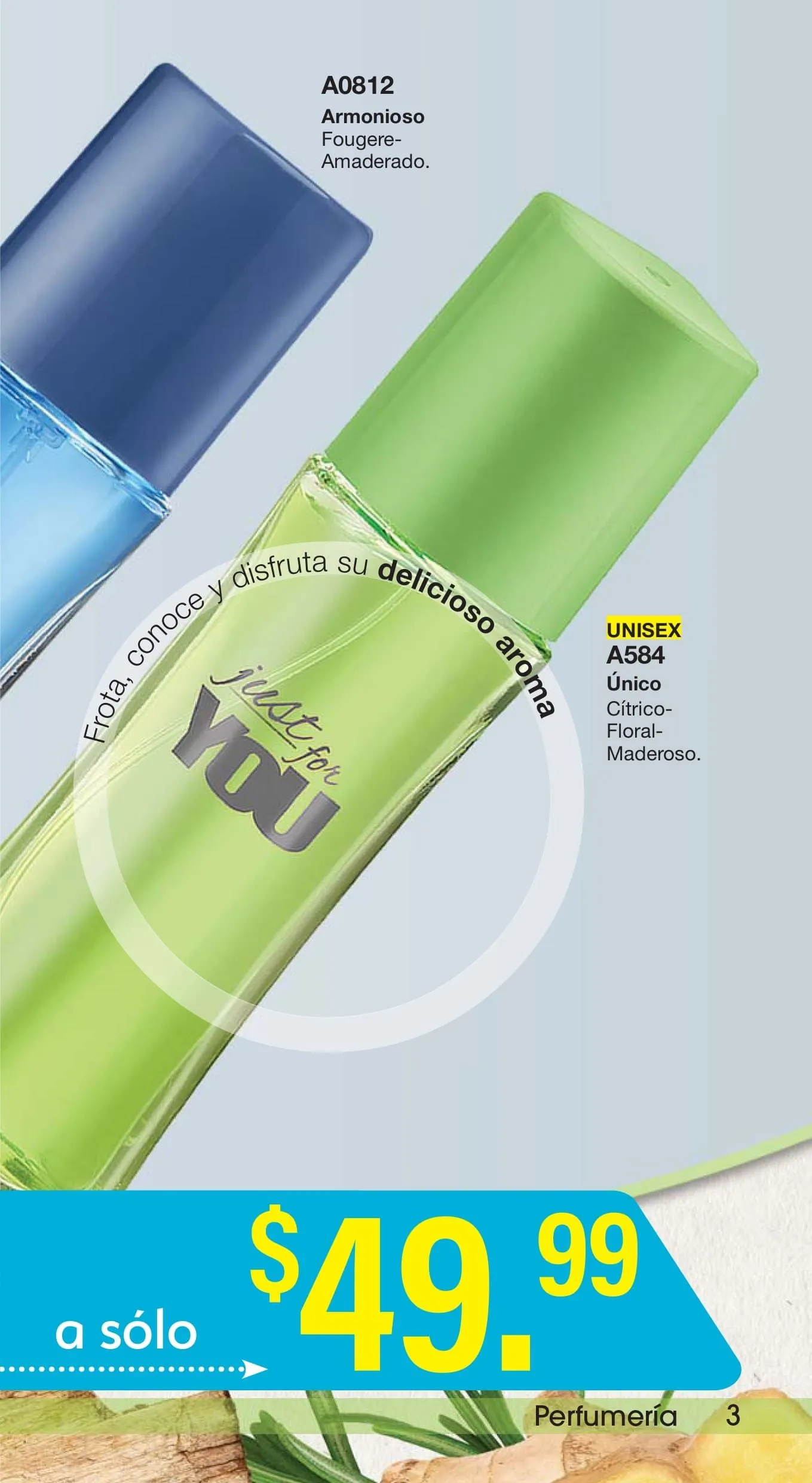 Catálogo de CAMPAÑA 14: ARABELA 18 de junio al 31 de diciembre 2024 - Pagina 2