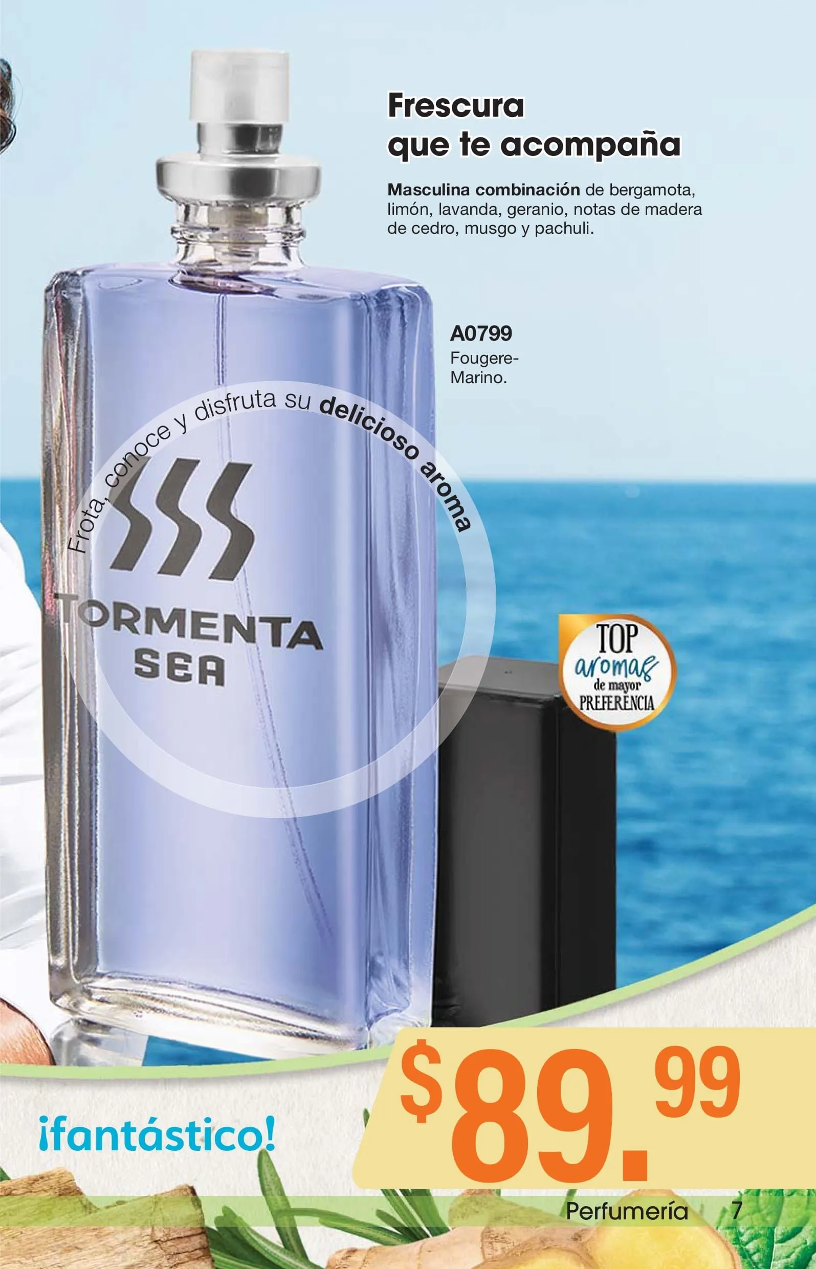 Catálogo de CAMPAÑA 14: ARABELA 18 de junio al 31 de diciembre 2024 - Pagina 6