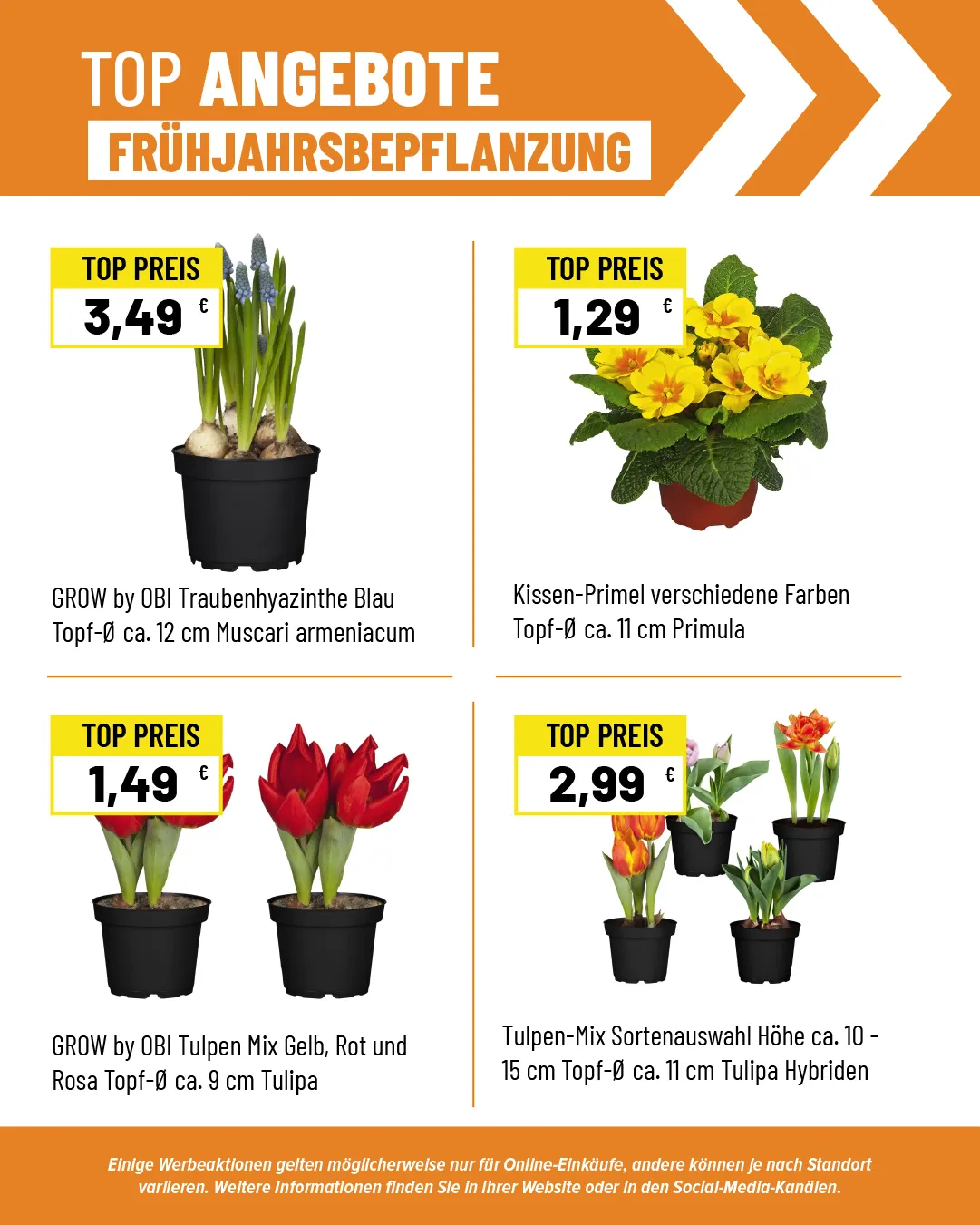 Rabatte von 26. März bis 9. April 2025 - Prospekt seite 2