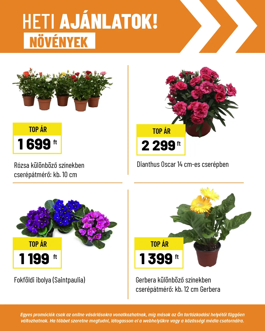 Katalógus Obi Ajánlatok március 17.-tól március 31.-ig 2025. - Oldal 2