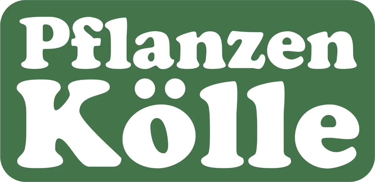 Pflanzen-Kölle logo die aktuell Prospekt
