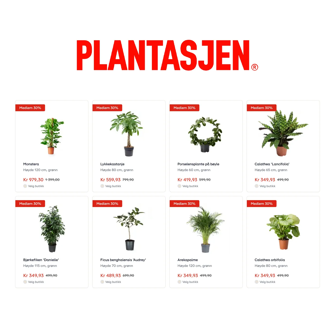 Plantasjen spesialtilbud fra 22. januar til 12. februar 2025 - kundeavisside 4