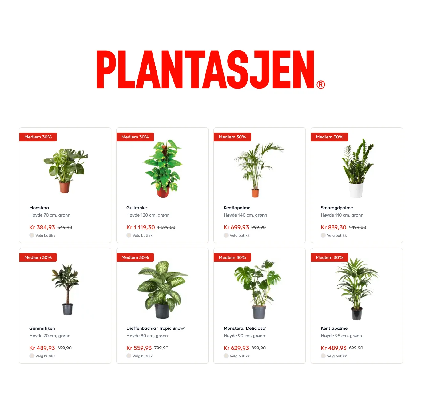 Plantasjen spesialtilbud fra 22. januar til 12. februar 2025 - kundeavisside 3