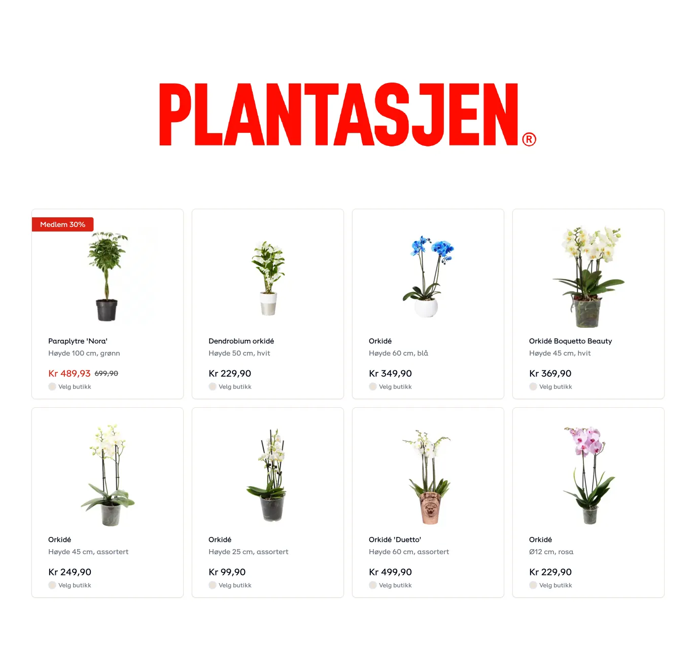 Plantasjen spesialtilbud fra 22. januar til 12. februar 2025 - kundeavisside 1
