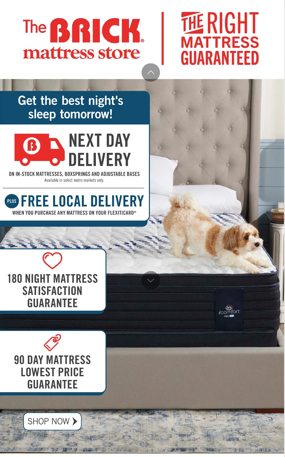 The Brick Deals from January 30 to February 13 2025 - flyer page 9