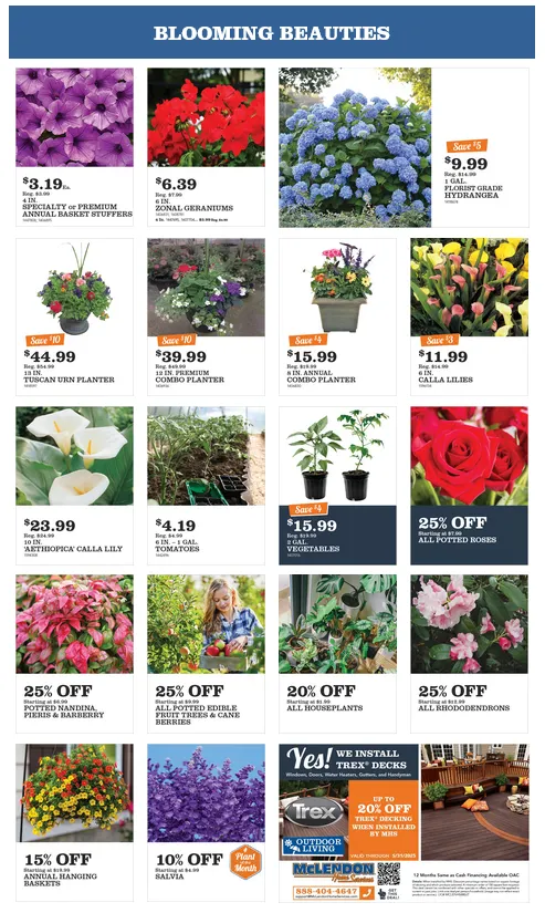 Weekly ad McLendon Sales from May 1 to May 26 2025 - Page 3