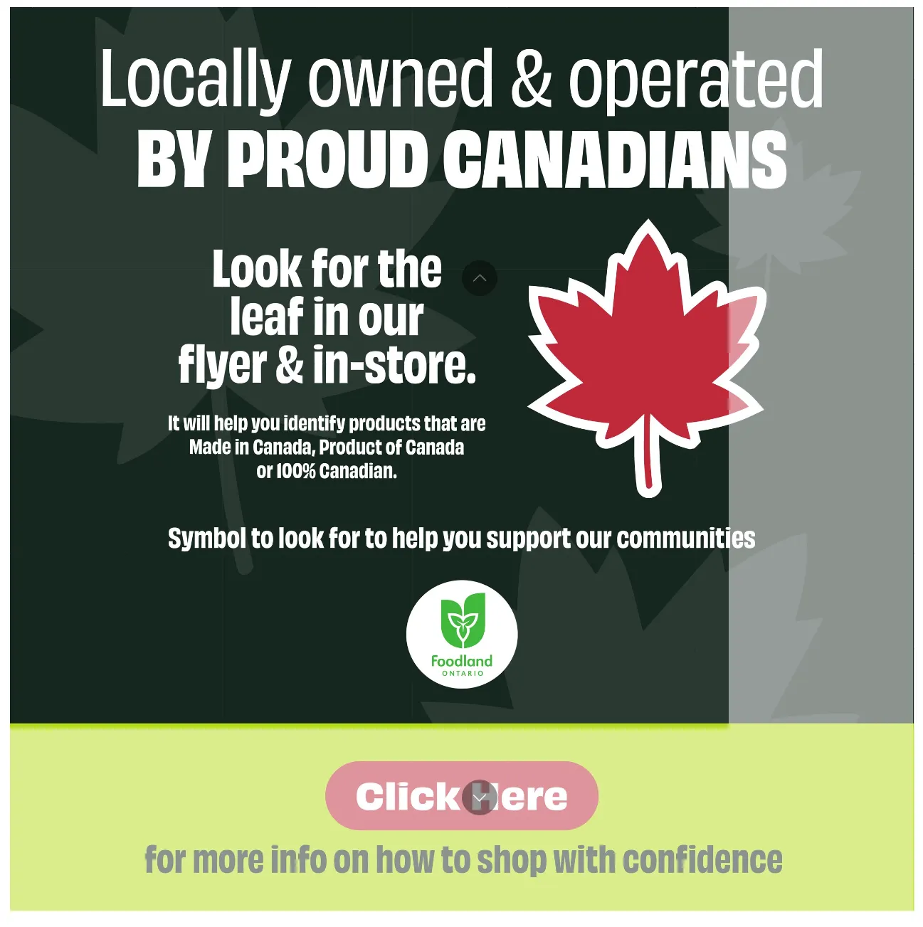 FreshCo. Sales from July 17 to July 23 2025 - flyer page 3