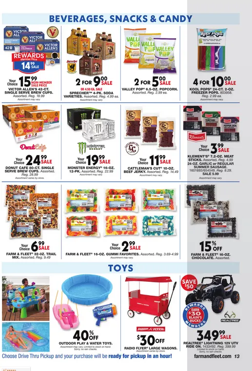 Weekly ad Blain's Farm & Fleet Sale from August 7 to August 18 2025 - Page 13