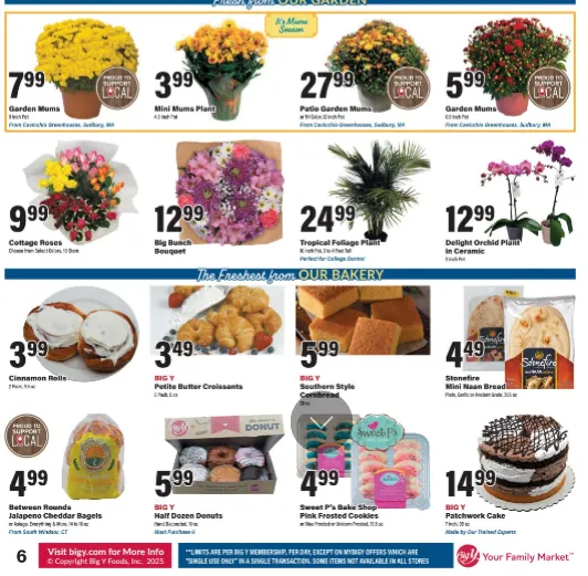 Weekly ad Big Y  Sales from September 4 to September 10 2025 - Page 9