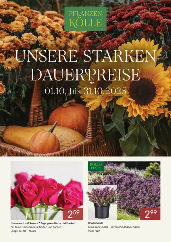 Pflanzen-Kölle Prospekte  von 1. Oktober bis 31. Oktober 2025 - Prospekt seite 1