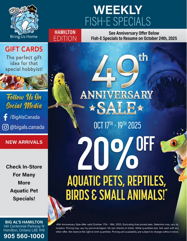 Big Al's Pets Sales from October 10 to October 24 2025 - flyer page 