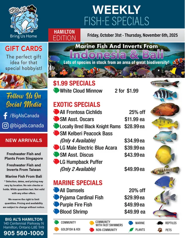  Big Al's Pets Sales from November 3 to November 6 2025 - flyer page 1