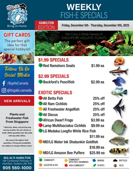 Big Al's Pets Sales from December 5 to December 11 2025 - flyer page 1