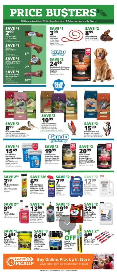 Weekly ad Runnings Sales from December 2 to December 31 2025 - Page 1