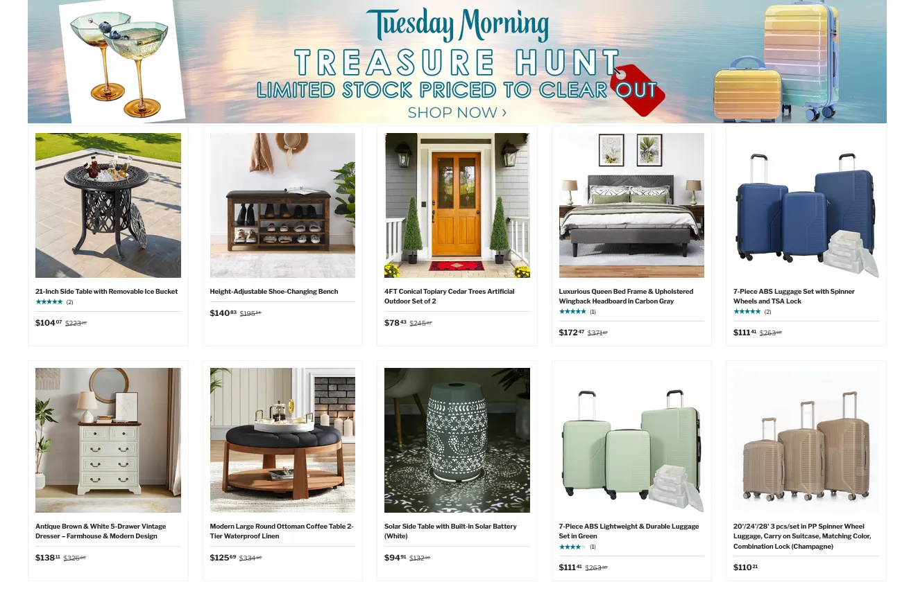 Weekly ad  Tuesday Morning Sales from January 16 to January 20 2026 - Page 1