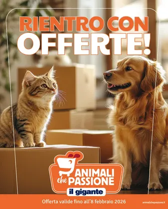  Il Gigante Volantino da 29 gennaio a 7 febbraio di 2026 - Pagina del volantino 3