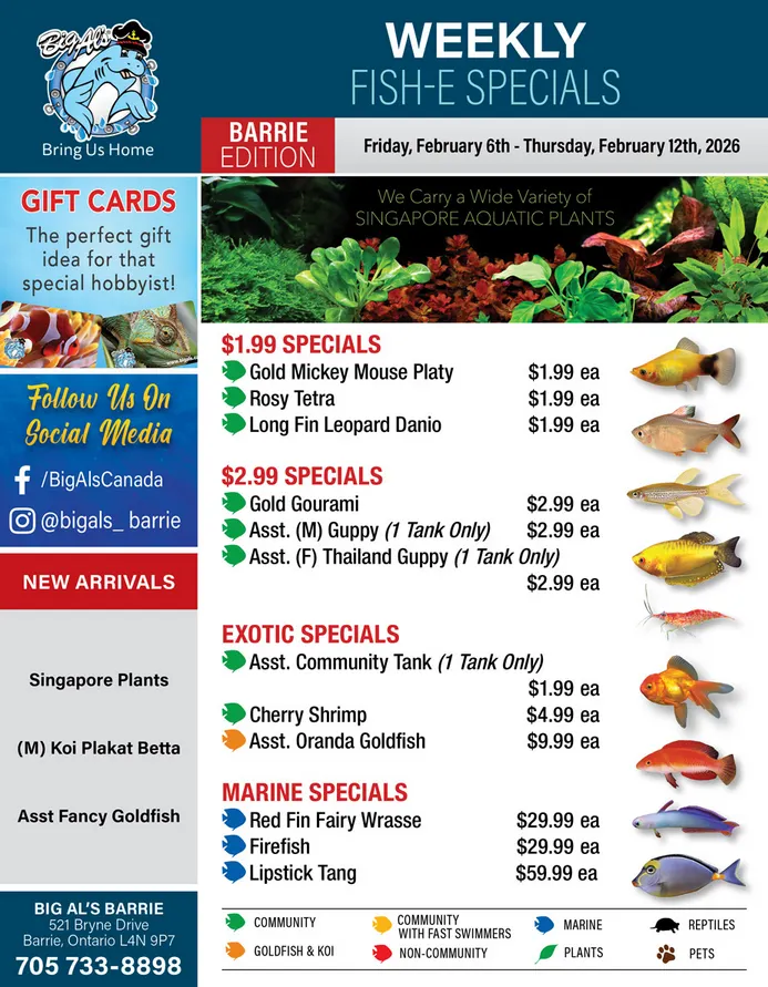 Big Al's Pets Sales from February 6 to February 12 2026 - flyer page 