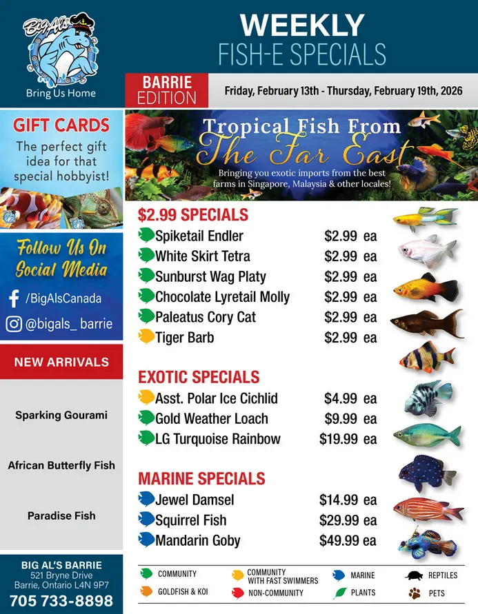 Big Al's Pets Sales from February 13 to February 19 2026 - flyer page