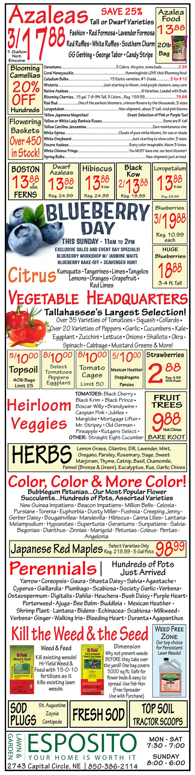 Esposito Sales from March 26 to April 1 2026 - flyer page 1